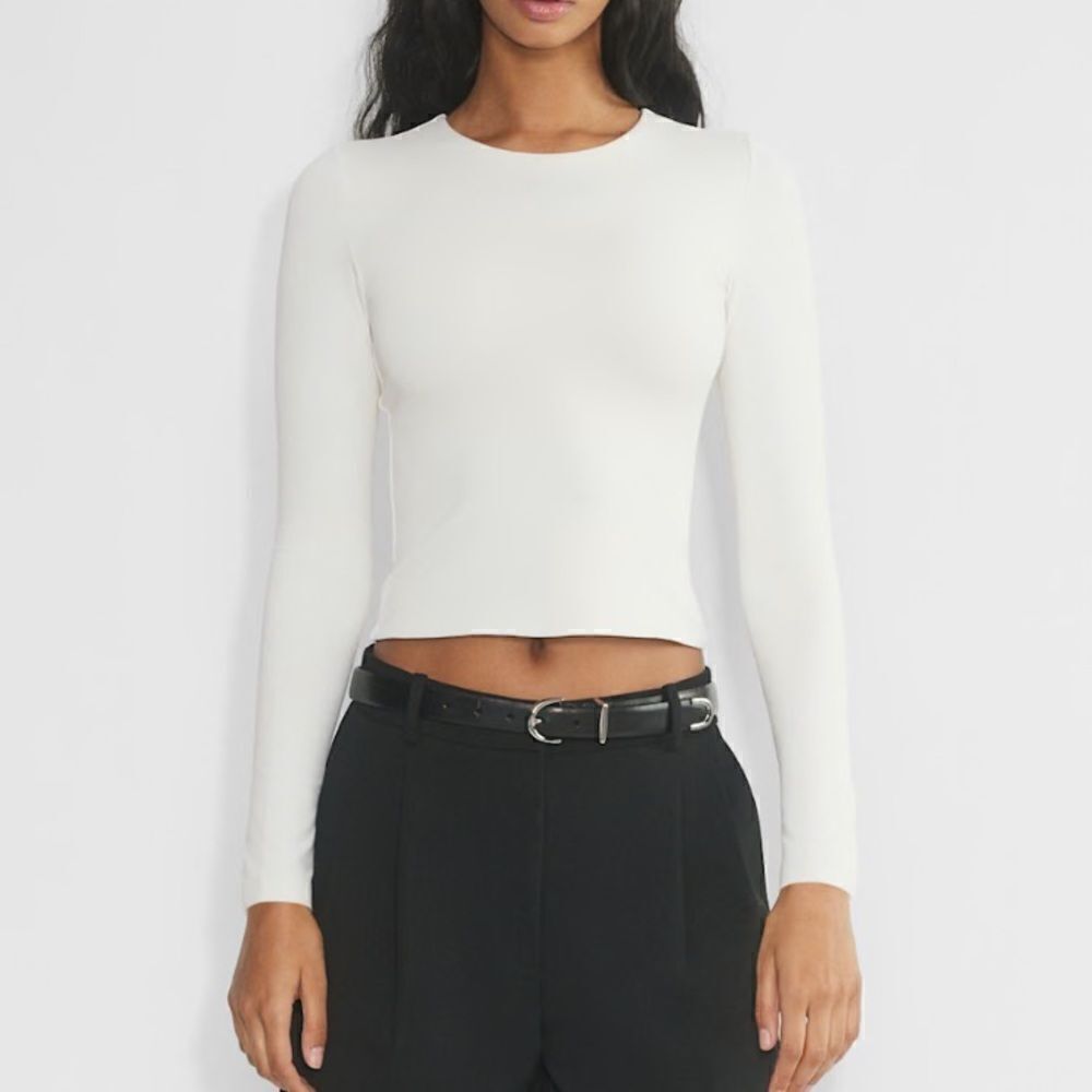 NWT Babaton contour crew *note color-V21